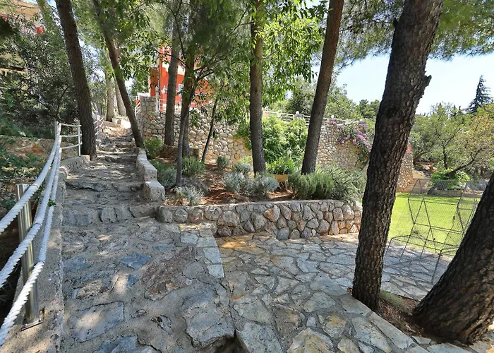 Candela, No 3 스타리그라드 파클레니차